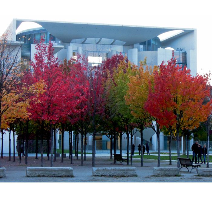 Berlin photo - Bundeskanzleramt / Federal Chancellery with autumn trees - photo cult berlin